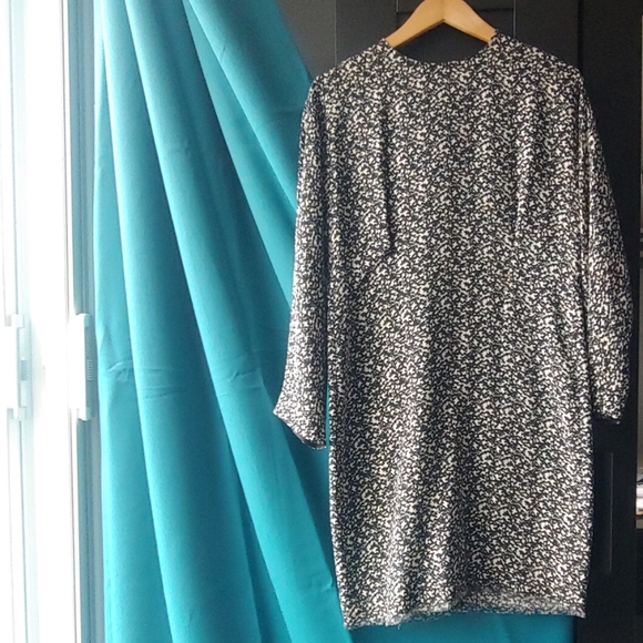 Joseph Silk Freddie Print Dress - Picture 1 of 4